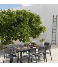 Sillón Bora Nardi - Sillon Bora Nardi 6