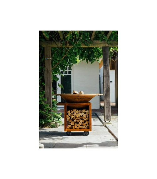 BARBACOA CLASSIC ALMACENAJE PRO OCS-100-PRO OFYR