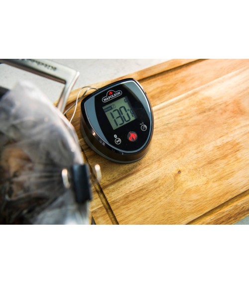 Thermomètre Napoléon ACCU-PROBE™