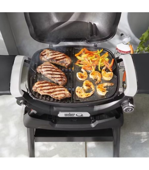 Piastra per la serie Weber Q1000N