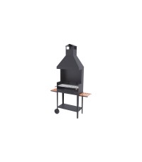 BV-64 Charcoal and Wood Barbecue with windbreak cabinet and Fm hood