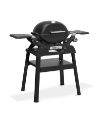 Barbecue à gaz Weber Q1200N avec support
