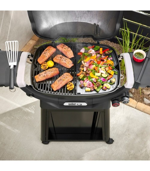 Plaque de cuisson pour Weber Q3200N+