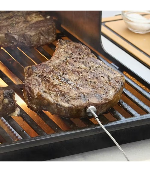Barbecue a gas intelligente Spirit® EX-425