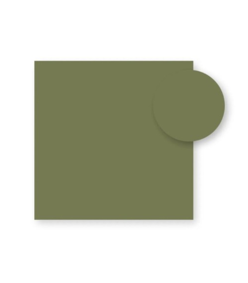 Planchers stratifiés Nardi 100x100