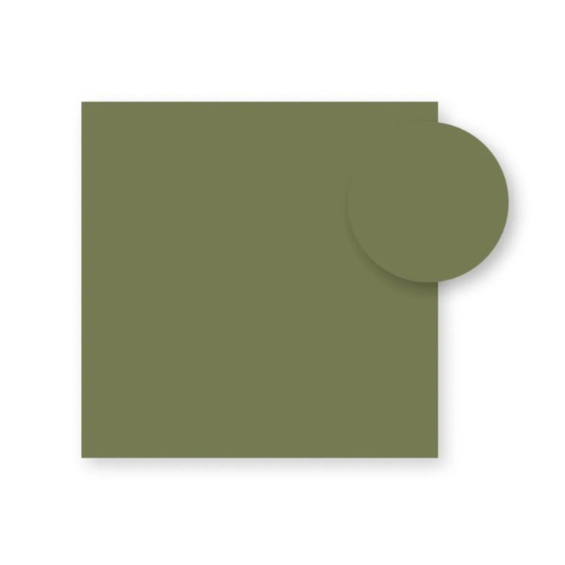 Planchers stratifiés Nardi 100x100