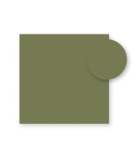 Planchers stratifiés Nardi 100x100