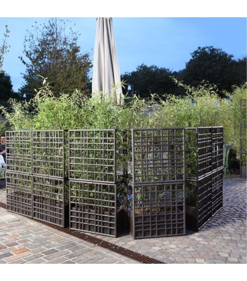 Module Sipario Nardi