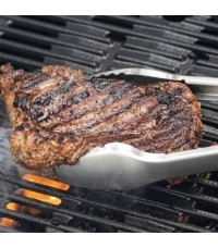 Barbacoa Weber Traveler -