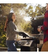 Barbacoa Spirit E-215 GBS - barbacoa weber spirit e 215 gbs black