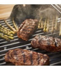 Barbacoa Spirit II E-320 GBS Weber - Spirit II Grill PECI Grates2 Features