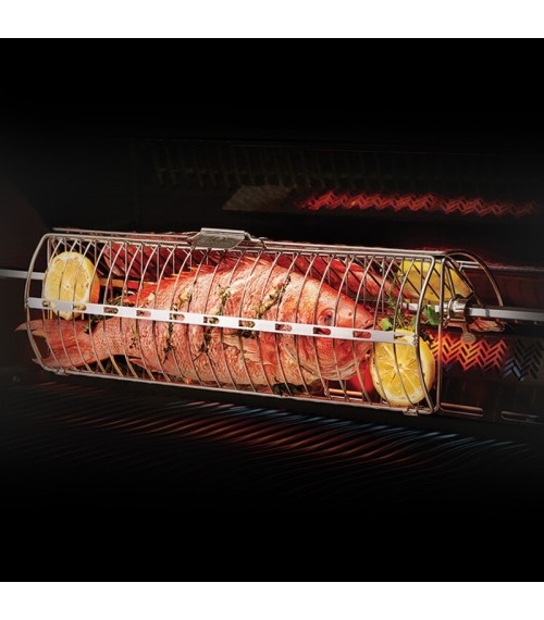 Napoleon Grill