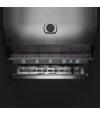 Barbacoa Serie 700 96 - 5cm - Napoleon - feat BI700 storage rotisserie kit