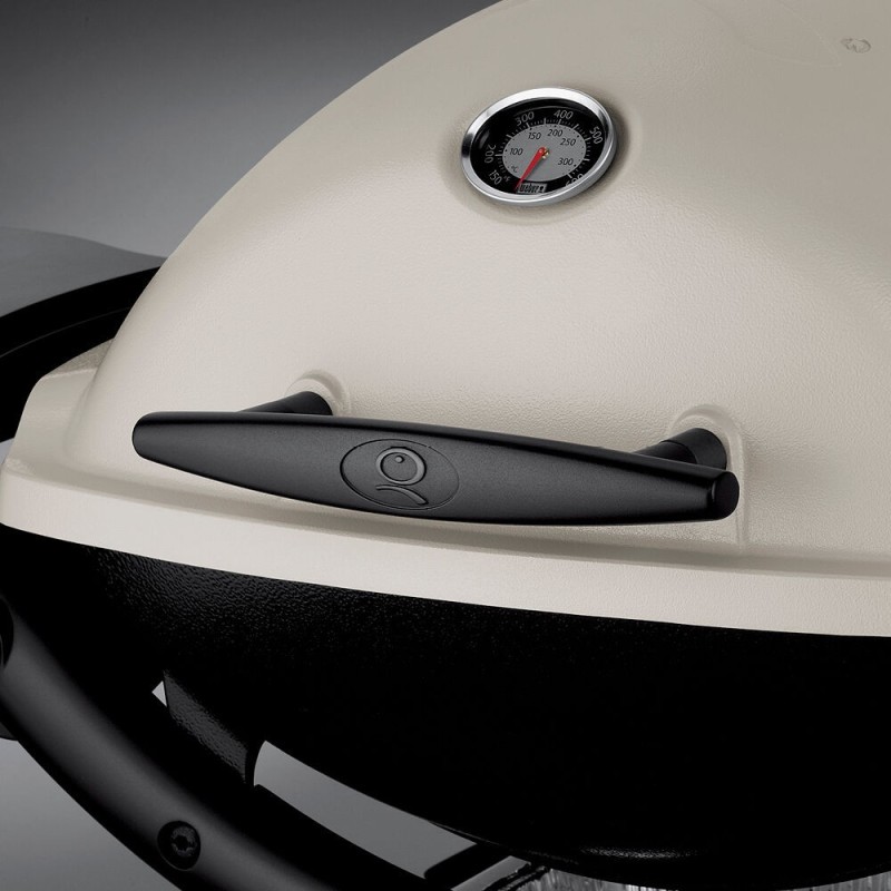Barbacoa Q1200 con stand Weber -