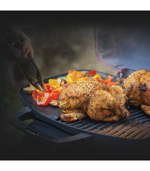 Plancha Reversible TravelQ™ 285 - Napoleon - 56080 cast iron reversible griddle 285 inuse