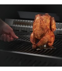 Asador Pollo - Napoleon - 56034 beer cavicken roaster