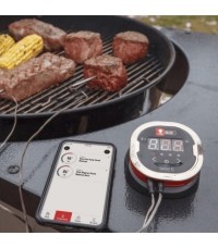 Termómetro IGrill2 Weber - termometro weber igrill 2 1