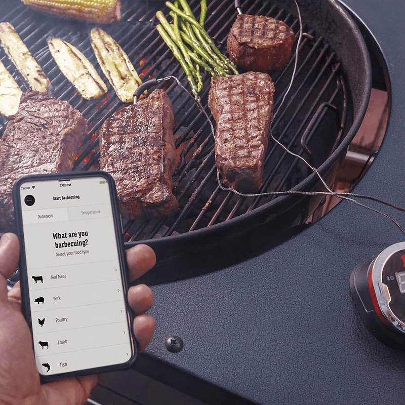 Termómetro IGrill2 Weber - termometro weber igrill 2