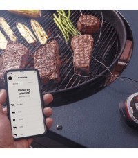 Termómetro IGrill2 Weber - termometro weber igrill 2