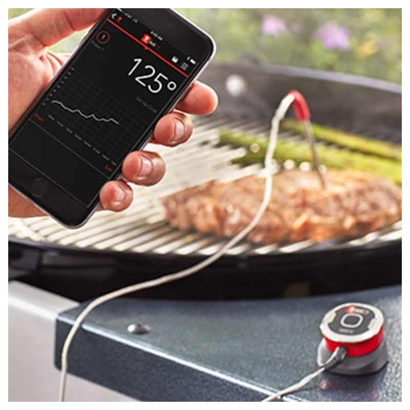 Termómetro IGrill Mini Weber - 3658 TERMOMETRO WEBER IGRILL MINI 768x768 1