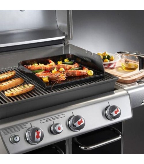 Plancha Deluxe para Serie Q. - 2751 PLANCHA WT 300 Y SUPERIORES 510x510 1
