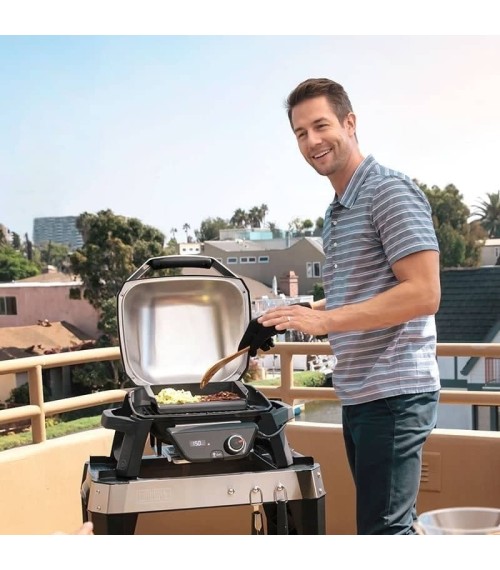 Plancha Barbacoa Pulse - 3429 PLANCHA UNIVERSALPARA WEBER QPULSESPIRIT Y SUPERIORES