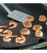 Plancha Barbacoa Serie Q - plancha fonte pour barbecue gaz weber q200 et q2000 1