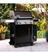 Barbacoa Spirit EPX-315 GBS - spirit epx 315 6