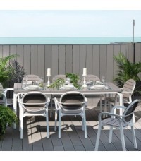 Sillón Palma Nardi - Sillon Palma Nardi 9