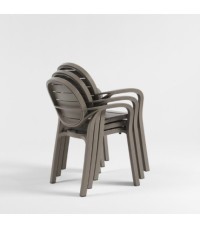 Sillón Palma Nardi - Sillon Palma Nardi 2