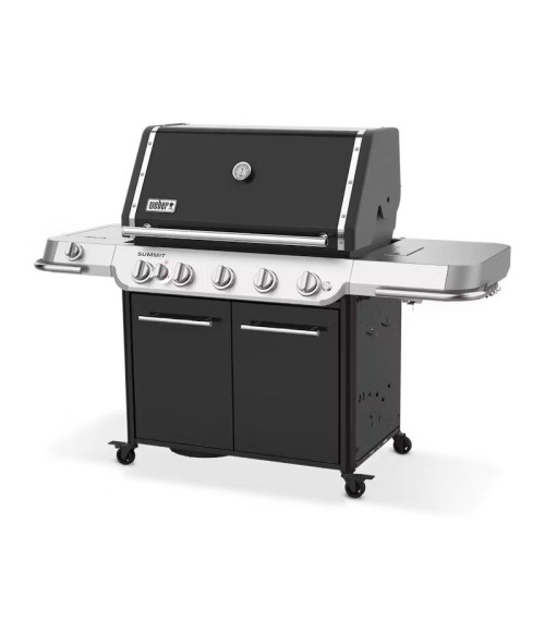 Barbecue Summit® E Weber